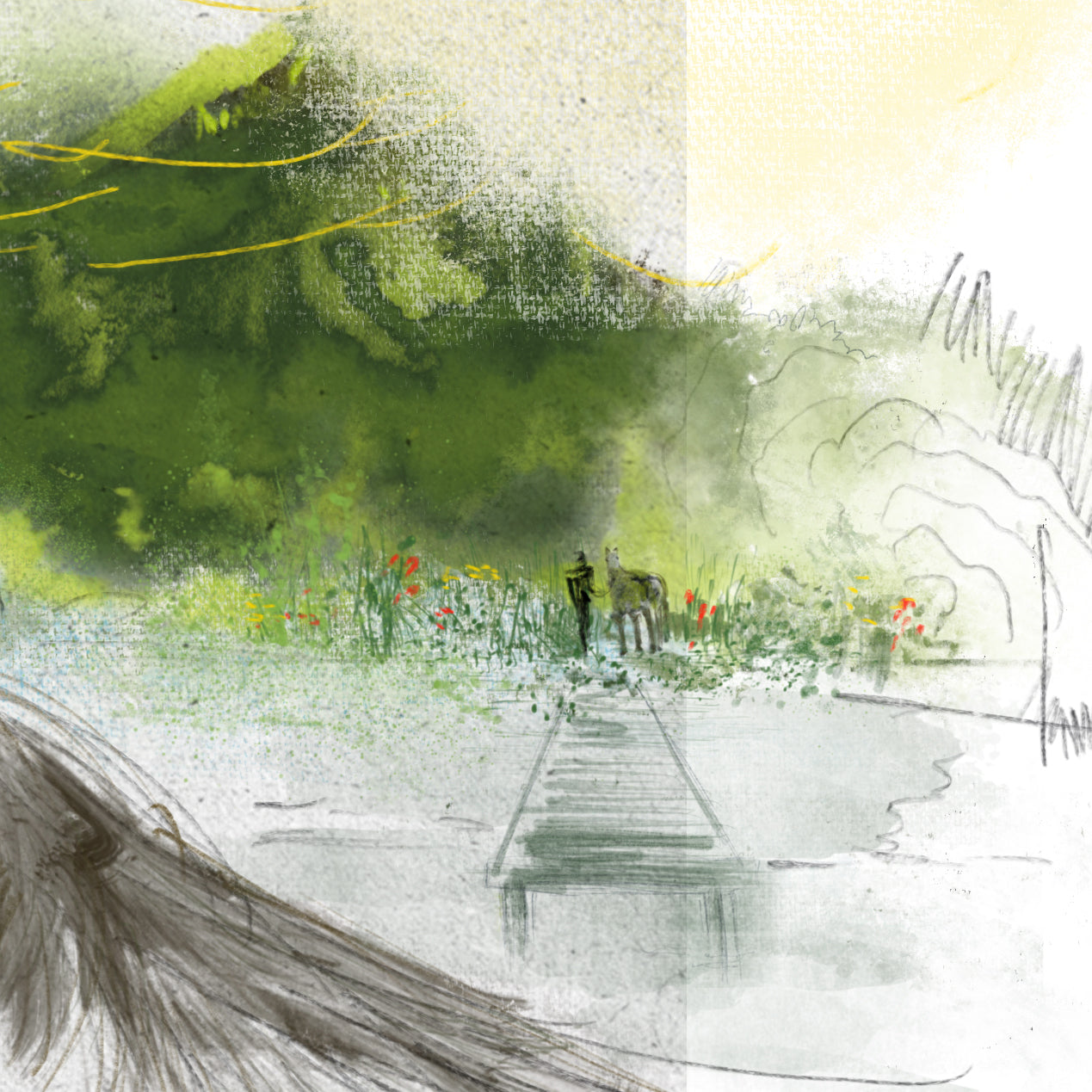 Echoes of the Wild: A Journey of Freedom and Belonging