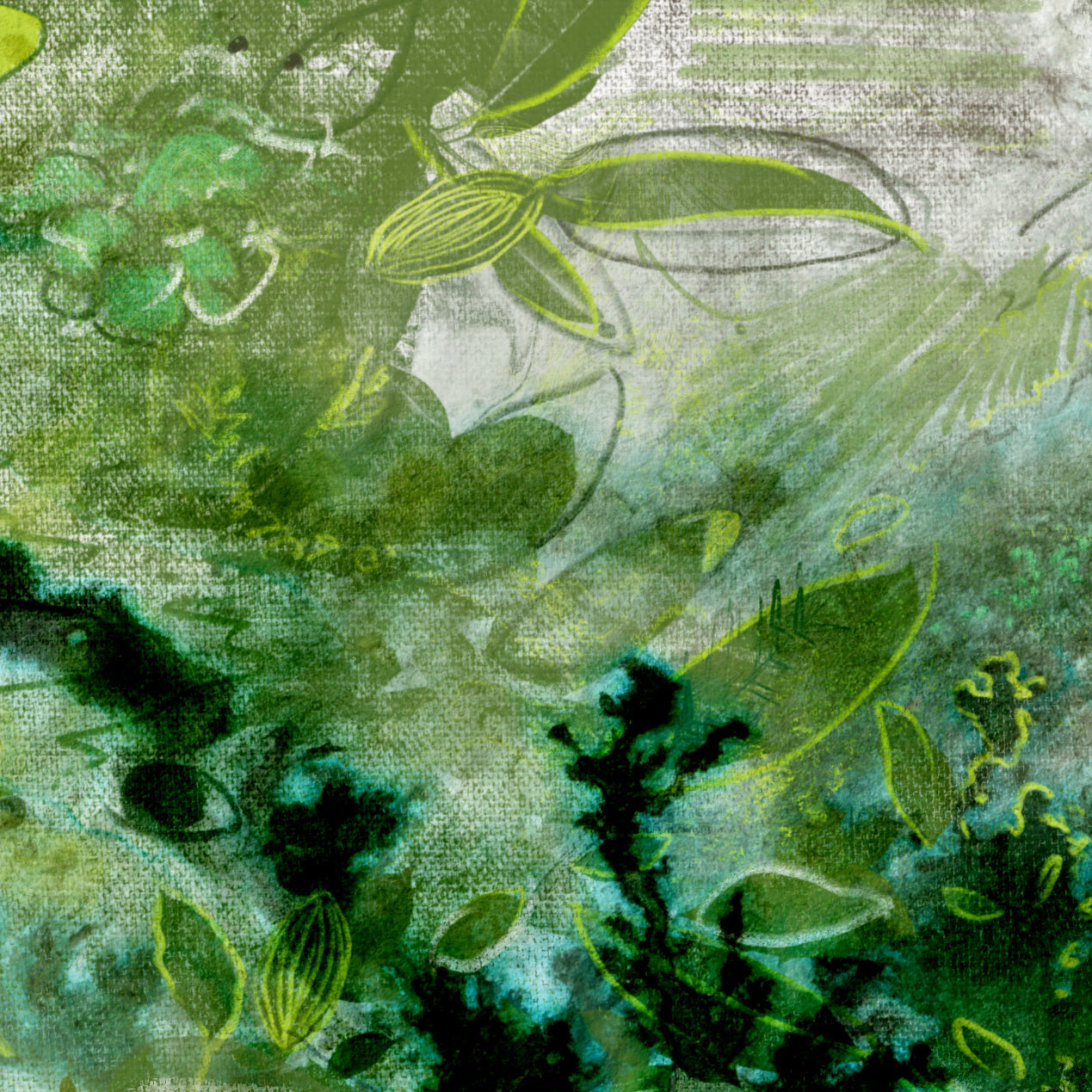 Echoes of the Wild: A Journey of Freedom and Belonging